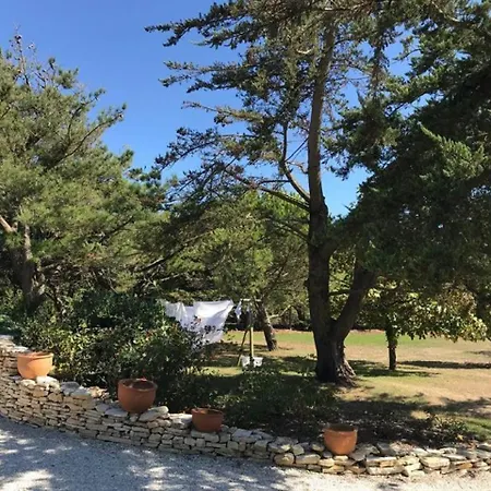 House Ile De Re Lemuria Standing Proche Mer Et Thalasso